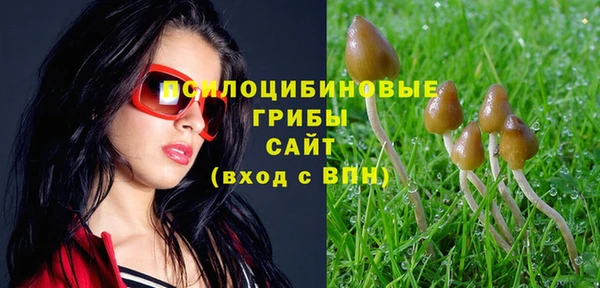 мяу мяу мука Алзамай