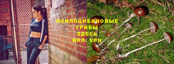 мяу мяу мука Алзамай
