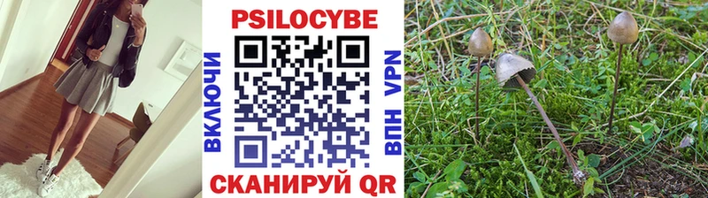 Псилоцибиновые грибы Cubensis  Нолинск 